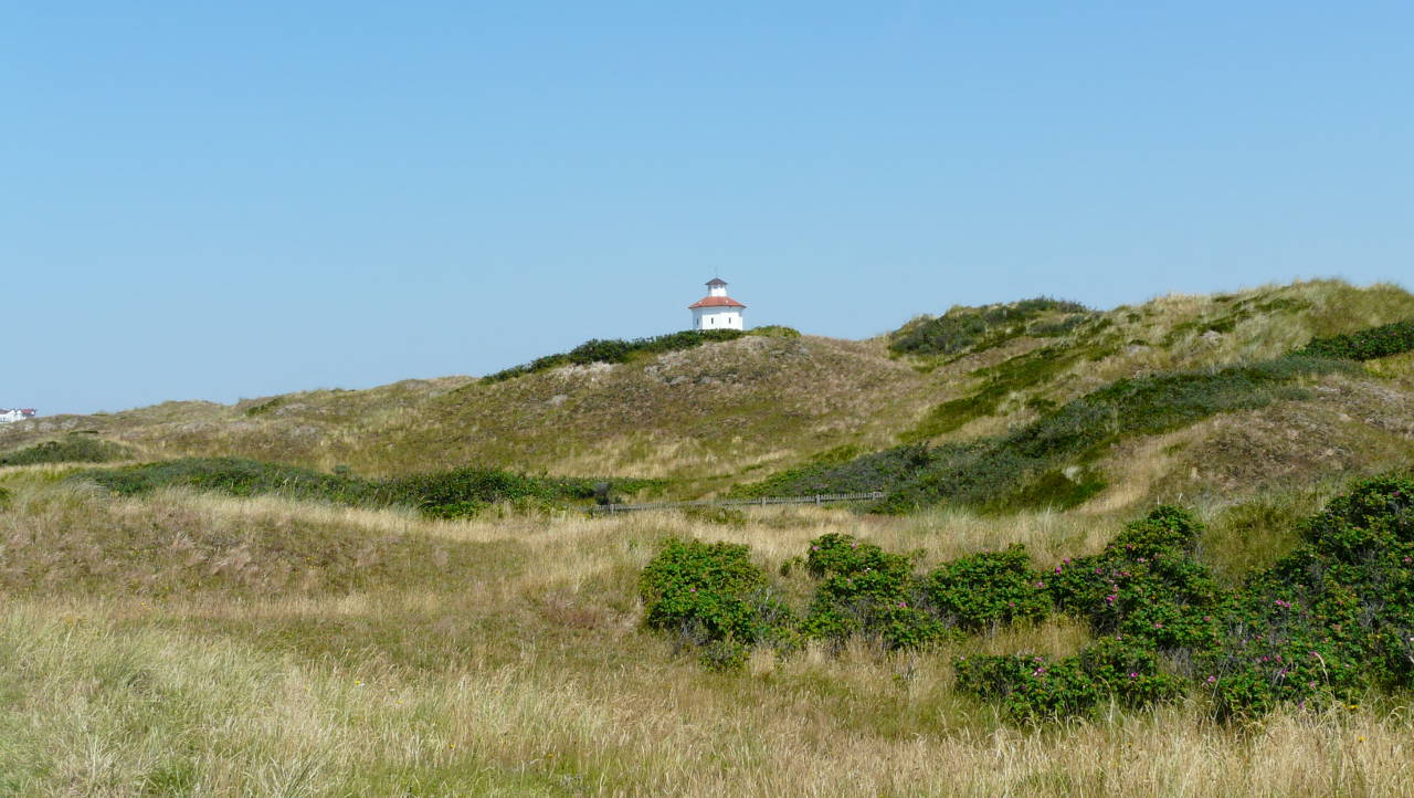 Dünen nahe bei Langeoog